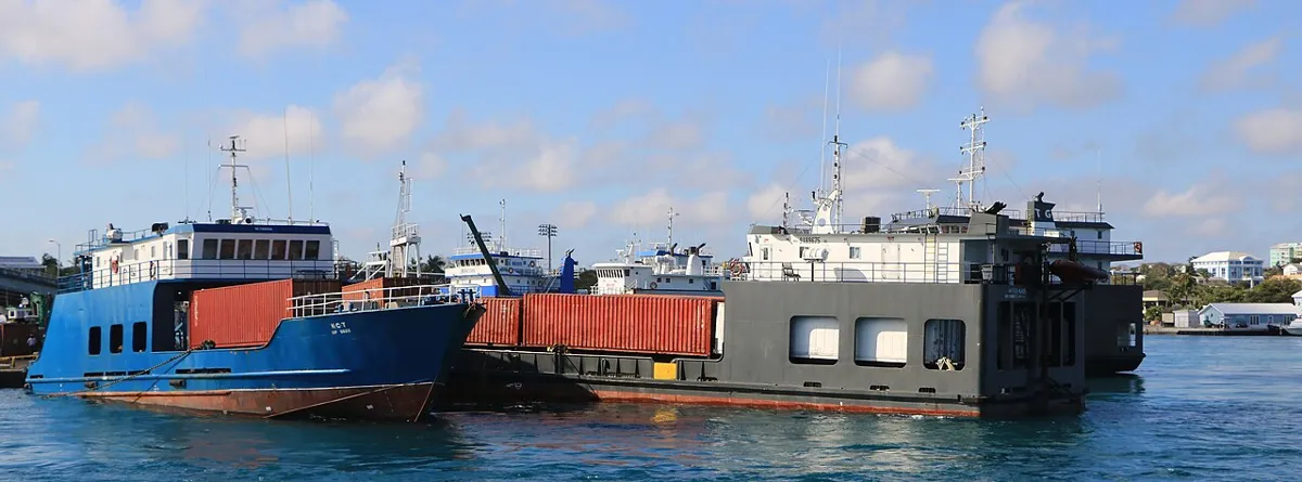 Cargo vessel carrying consolidated goods from China